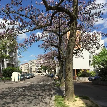 T2 Confort Tv 55' Avec Canal Series Netflix Dazen Bein Sport Apple Tv Ocs Paramount Prime Video Lägenhet Nancy