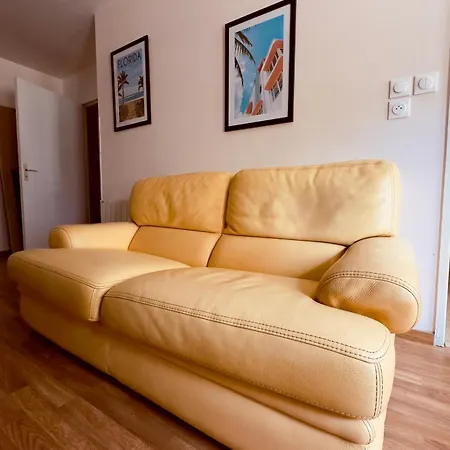 Grand T2 Confort 50 M2 Tv Avec Canal Séries Netflix Dazen Bein Sport Apple Tv Ocs Paramount Prime Vidéo Appartement Nancy