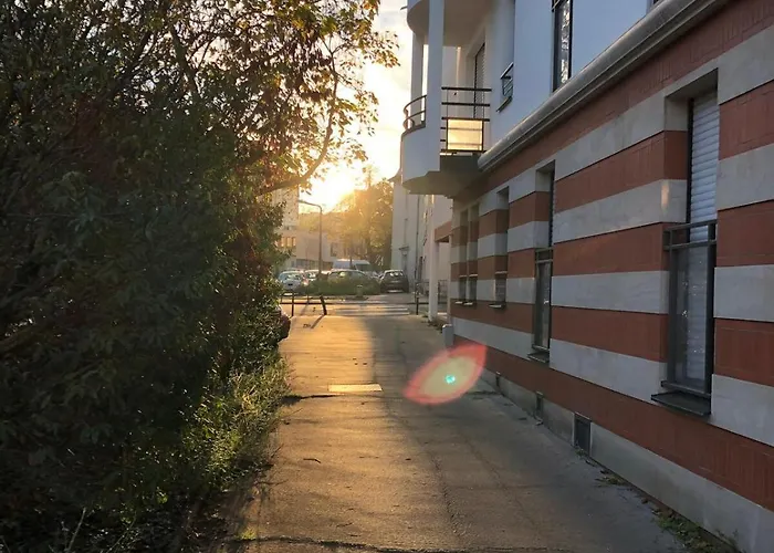 T2 Confort Tv 55' Avec Canal Series Netflix Dazen Bein Sport Apple Tv Ocs Paramount Prime Video * Nancy