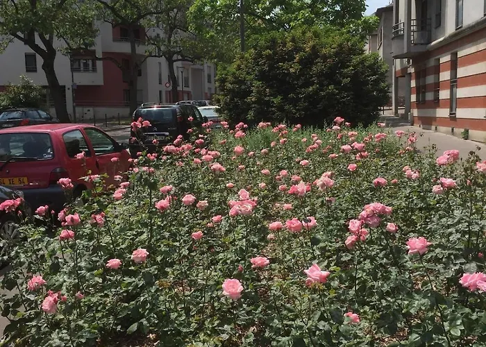 T2 Confort Tv 55' Avec Canal Series Netflix Dazen Bein Sport Apple Tv Ocs Paramount Prime Video Appartement