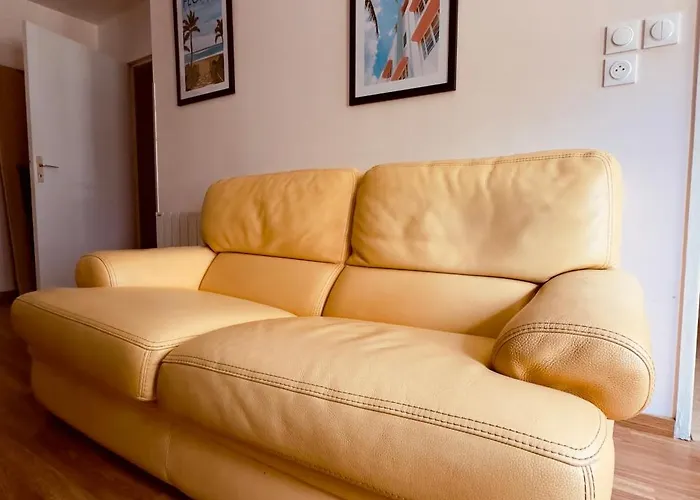 T2 Confort Tv 55' Avec Canal Series Netflix Dazen Bein Sport Apple Tv Ocs Paramount Prime Video Apartament Nancy