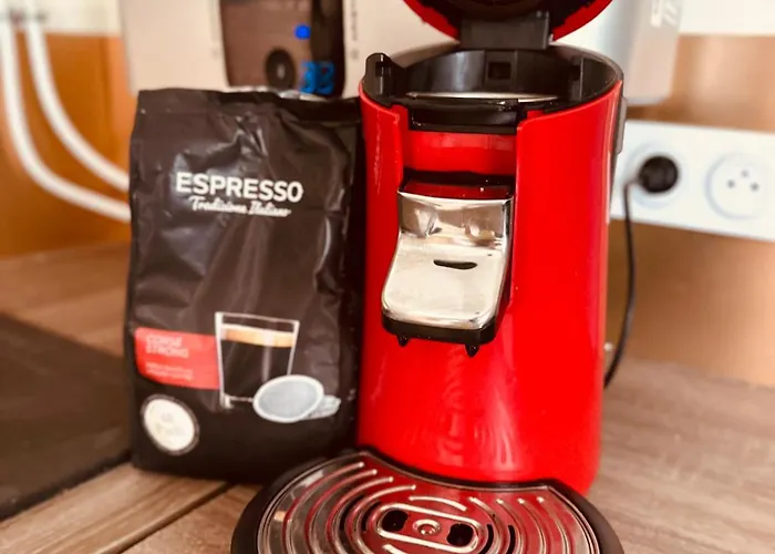 T2 Confort Tv 55' Avec Canal Series Netflix Dazen Bein Sport Apple Tv Ocs Paramount Prime Video * Nancy