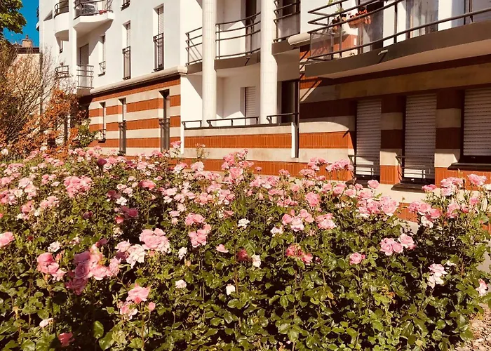 T2 Confort Tv 55' Avec Canal Series Netflix Dazen Bein Sport Apple Tv Ocs Paramount Prime Video * Nancy