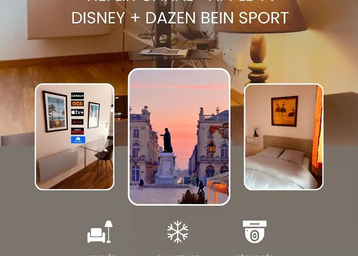 T2 Confort Tv 55' Avec Canal Series Netflix Dazen Bein Sport Apple Tv Ocs Paramount Prime Video *